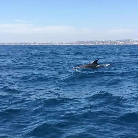 Rs Apartment Quarteira